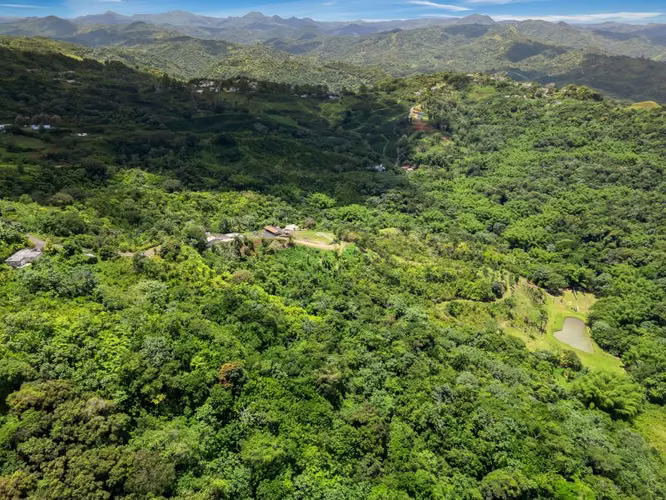 Bo. Espino, Finca en Lares