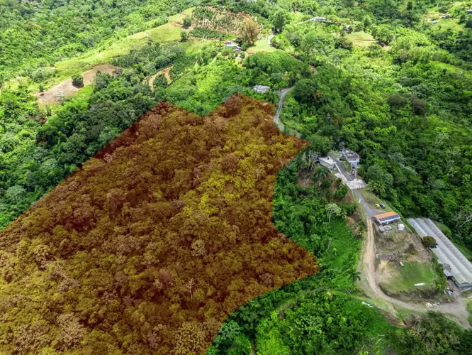Bo. Espino, Finca en Lares