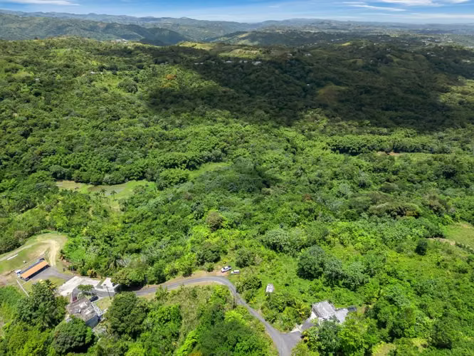 Bo. Espino, Finca en Lares