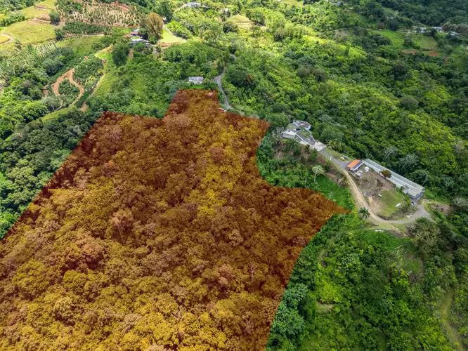 Bo. Espino, Finca en Lares