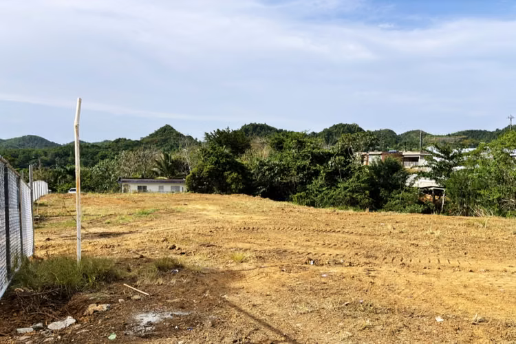 Bo. Unibon, Terreno en Morovis