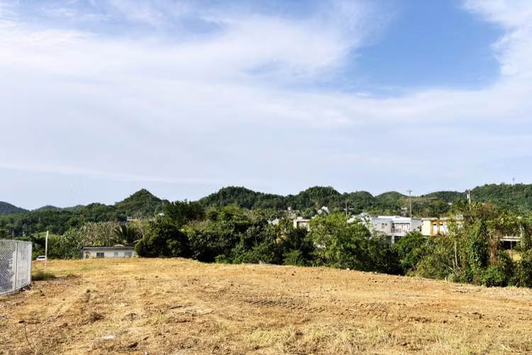 Bo. Unibon, Terreno en Morovis