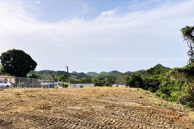 Bo. Unibon, Terreno en Morovis