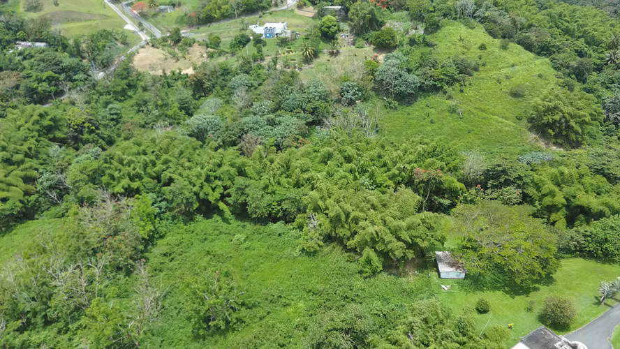 Bo. Calzada, Terreno en Maunabo - Imagen 2