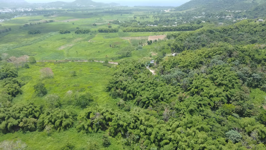 Bo. Calzada, Terreno en Maunabo - Imagen 3