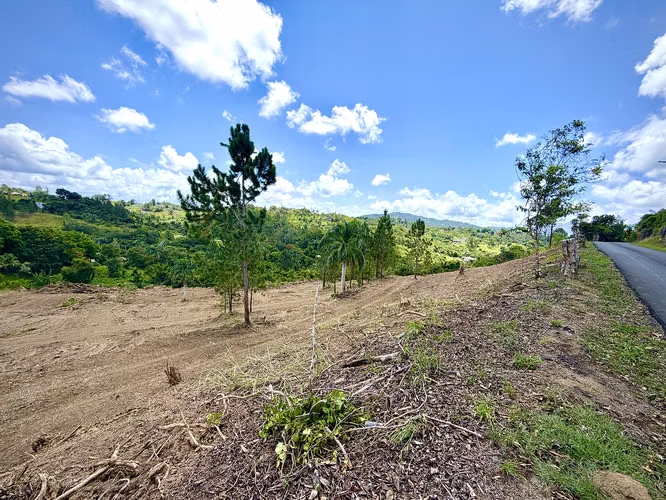 Bo. Arenas, Terreno en Cidra