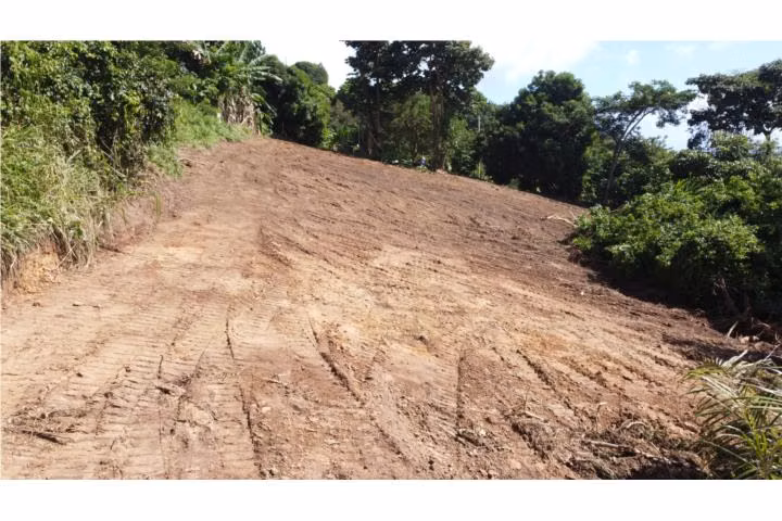 Humacao Terreno Puerto Rico
