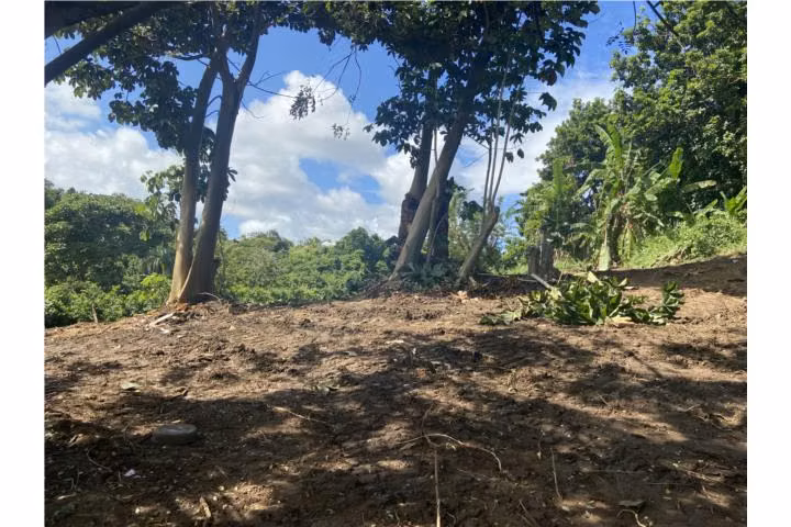 Humacao Pública Puerto Rico