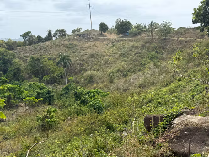 Bo. Campo Rico, Terreno en Canóvanas