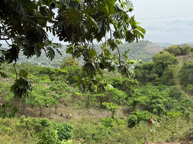 Bo. Campo Rico, Terreno en Canóvanas