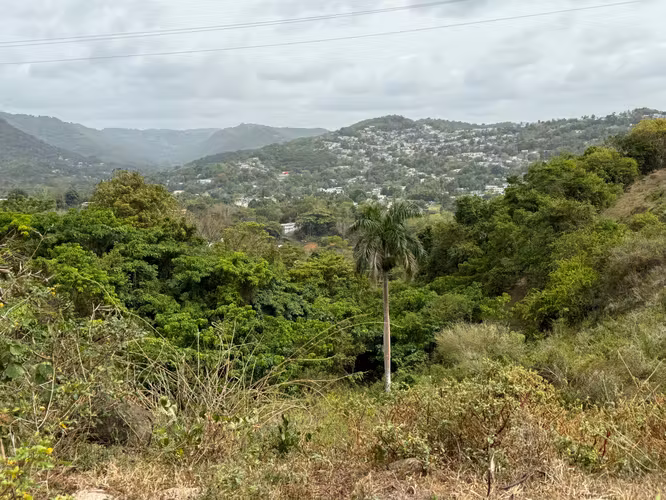 Bo. Campo Rico, Terreno en Canóvanas