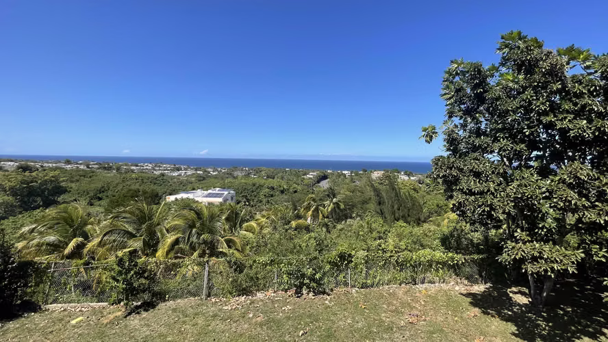 Camuy Bo Puente