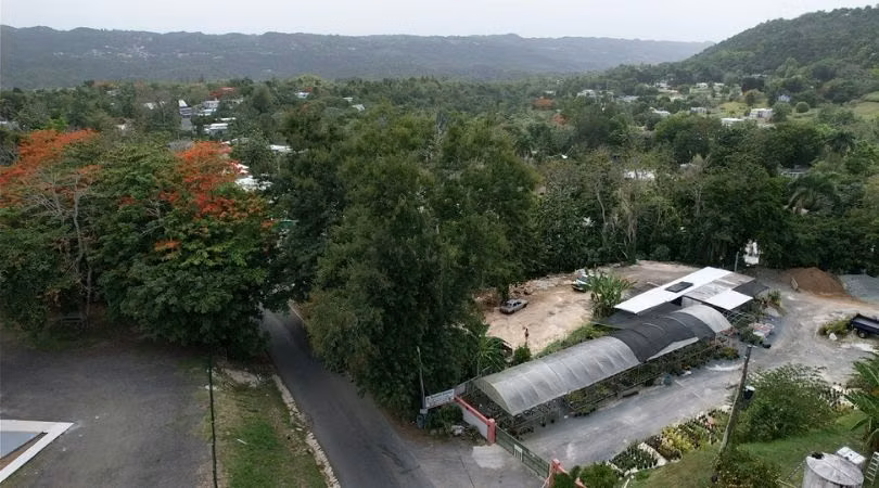 Bo. Barahona, Terreno en Morovis
