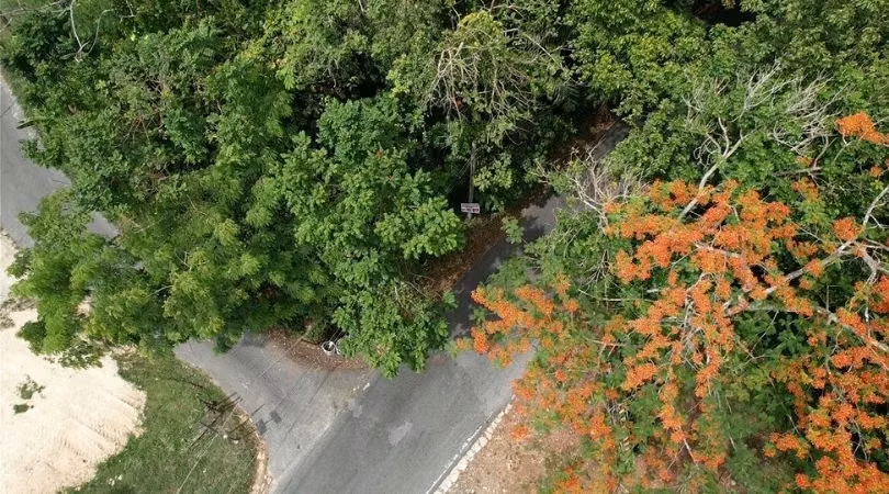 Bo. Barahona, Terreno en Morovis