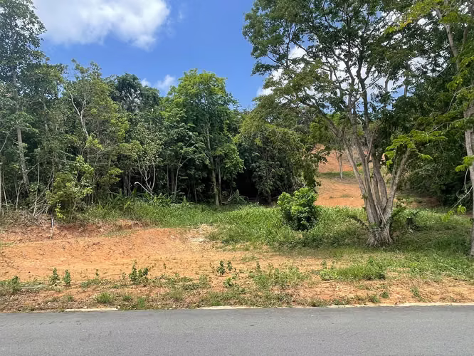 Bo. Quebrada Cruz, Terreno en Toa Alta