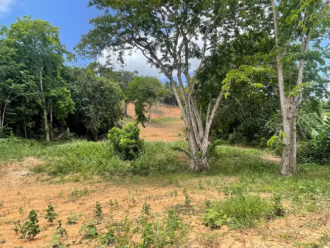 Bo. Quebrada Cruz, Terreno en Toa Alta