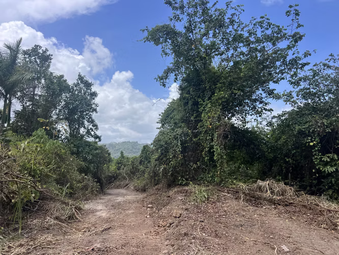 Bo. Limari, Finca en Adjuntas