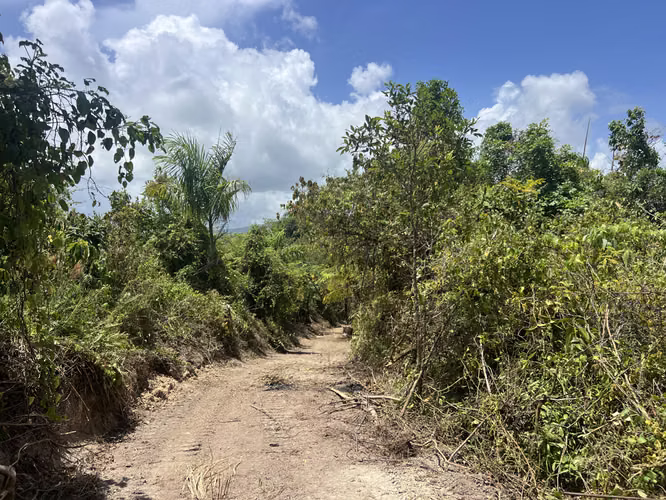 Bo. Limari, Finca en Adjuntas