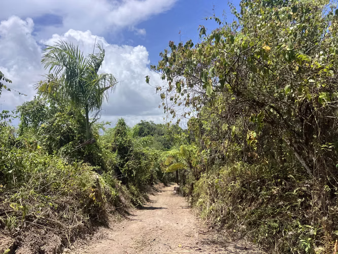 Bo. Limari, Finca en Adjuntas