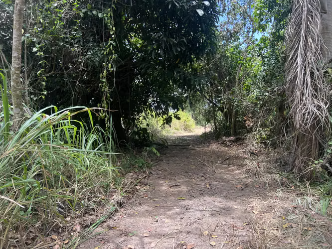 Bo. Limari, Finca en Adjuntas