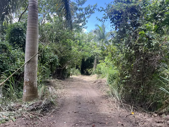 Bo. Limari, Finca en Adjuntas