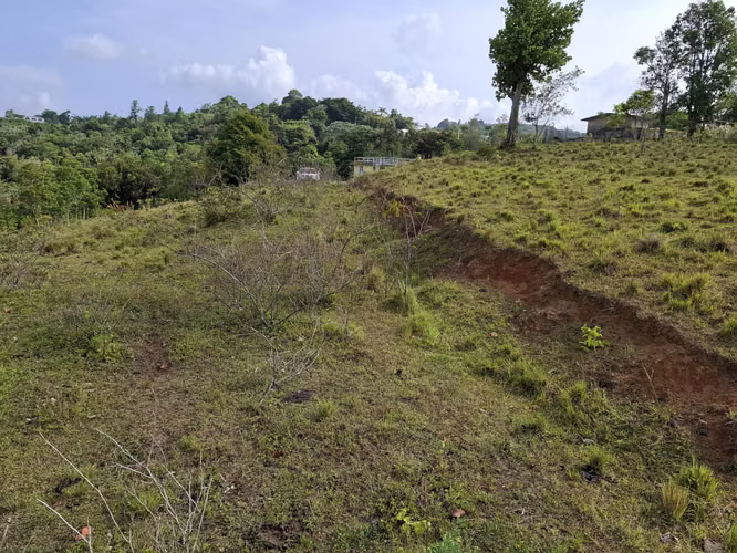 Bo Guzmán Arriba, Finca en Rio Grande