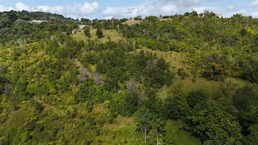 Bo Guzmán Arriba, Finca en Rio Grande