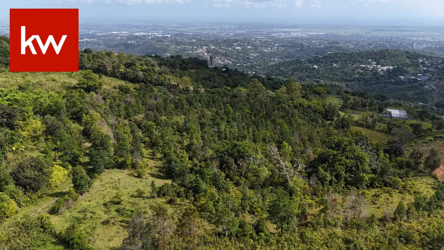 Bo Guzmán Arriba, Finca en Rio Grande