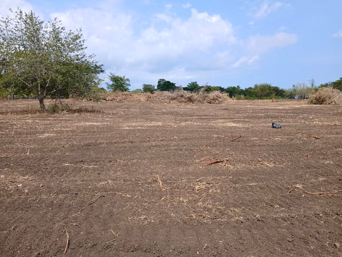 Bo. Sabana Yeguas, Terreno en Lajas