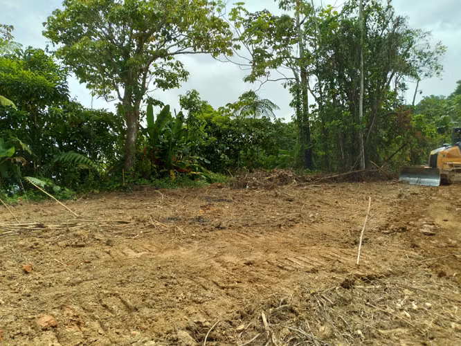 Bo. Juan Gonzalez, Finca en Adjuntas