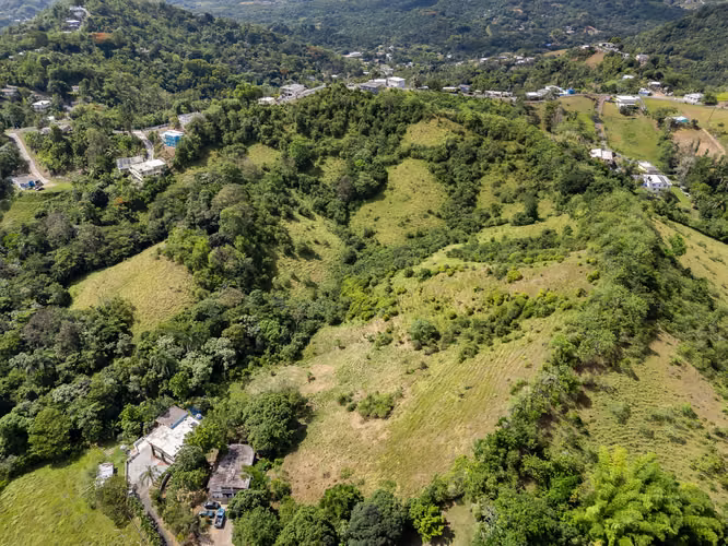 Finca en Bo. Tomas de Castro I, Caguas