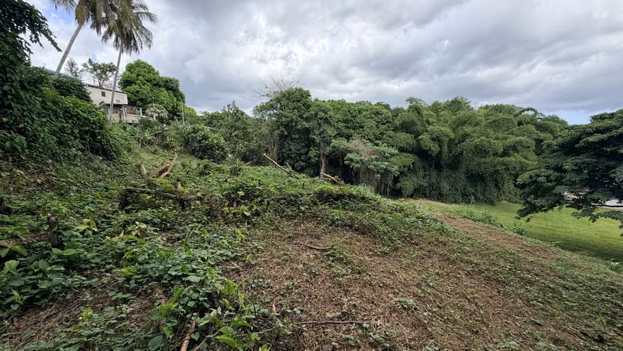 Mayaguez Bo Quebrada Grande