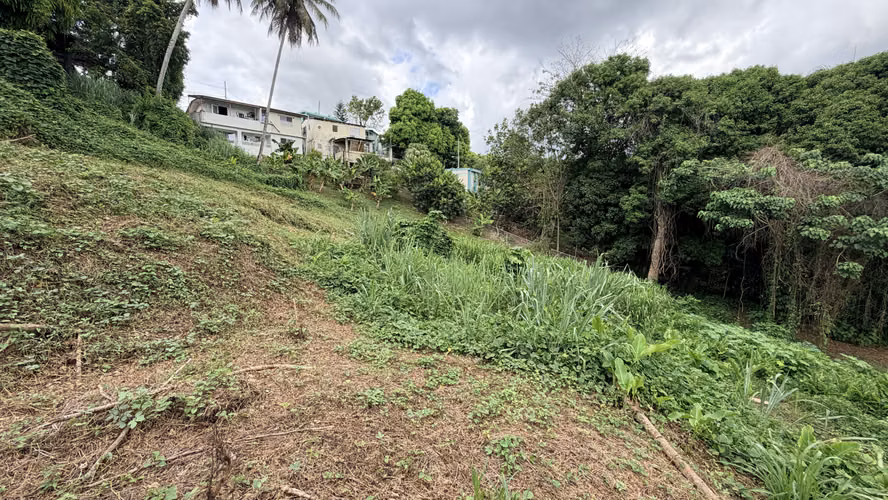Mayaguez Bo Quebrada Grande