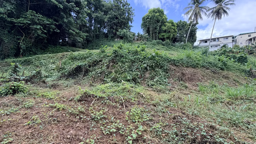 Mayaguez Bo Quebrada Grande