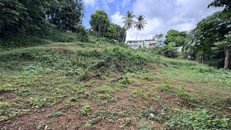 Mayaguez Bo Quebrada Grande