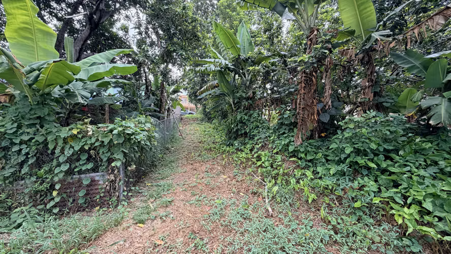Mayaguez Bo Quebrada Grande