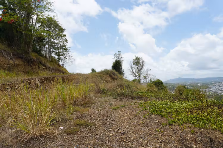 Urb. Colinas View, Terreno en Cayey