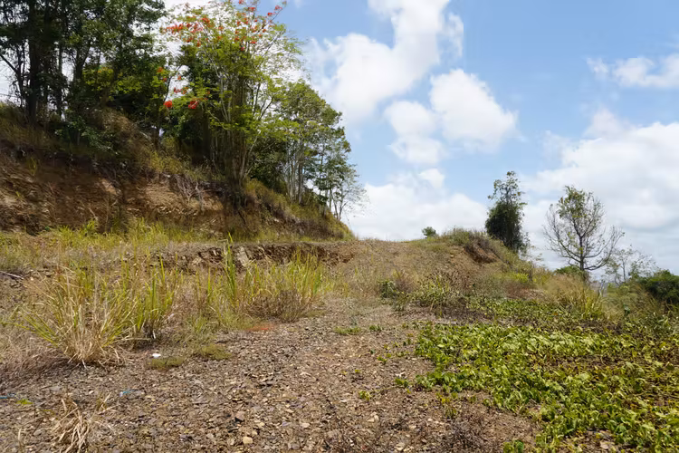 Urb. Colinas View, Terreno en Cayey