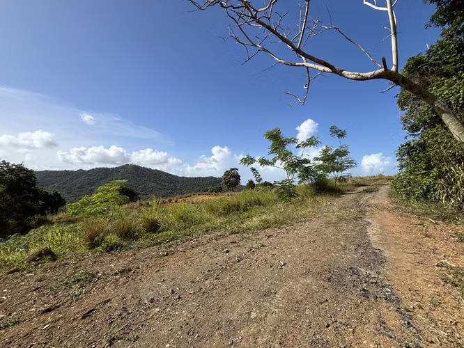 Lotes en Urb. Quintas De Ceiba - Imagen 8