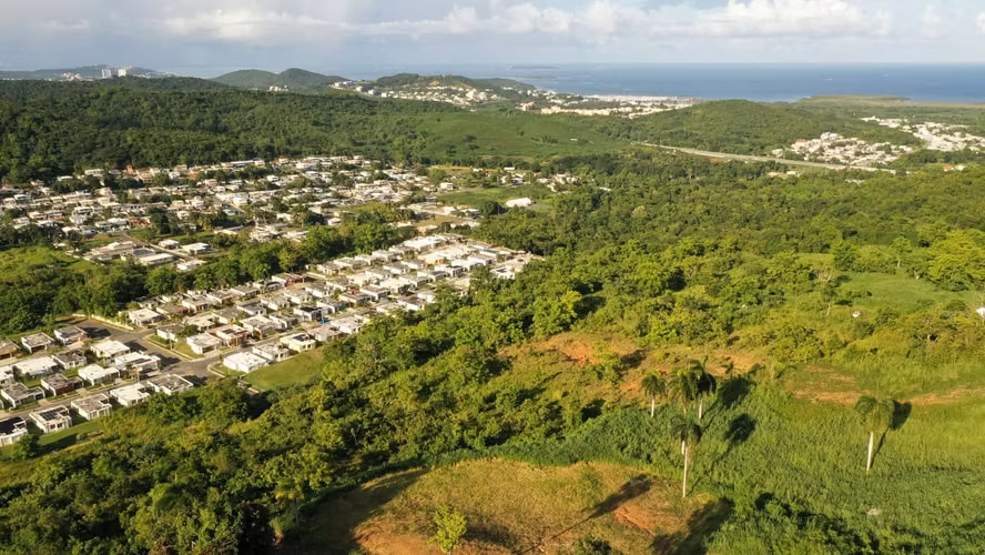 Lotes en Urb. Quintas De Ceiba - Imagen 4