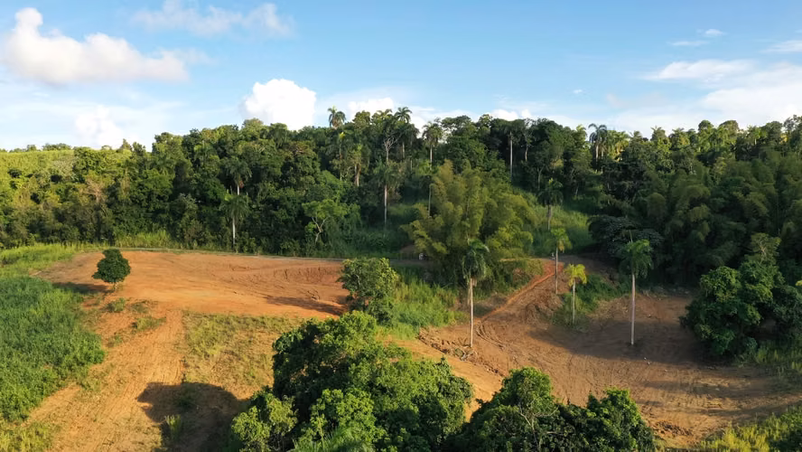 Lotes en Urb. Quintas De Ceiba - Imagen 5