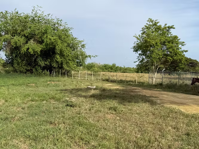 Isabela Bo Mora - Imagen 2
