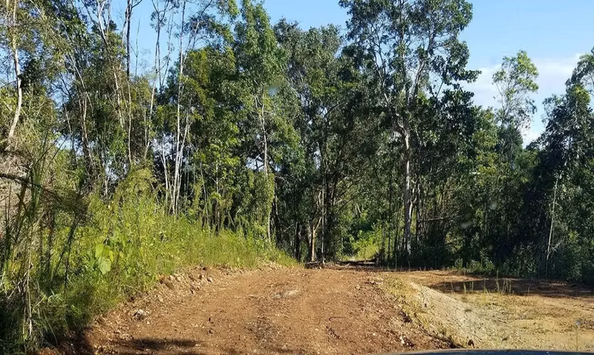 Bo. Rio Lajas, Terreno en Toa Alta
