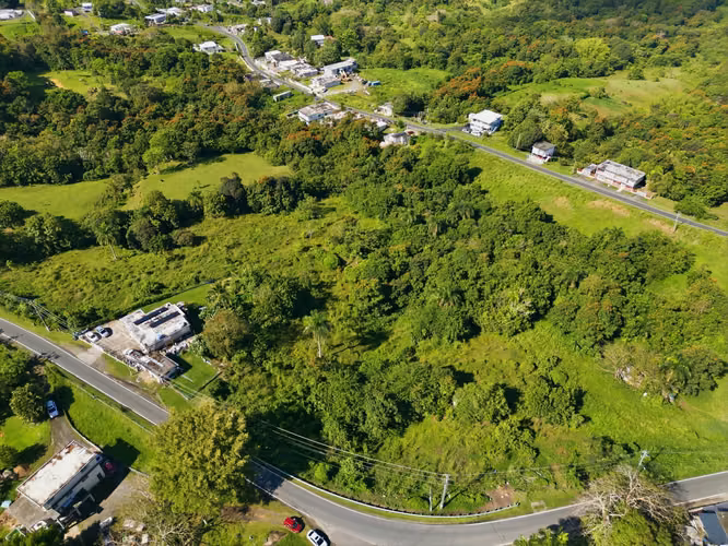 Bo. Ceiba, Terreno en Juncos