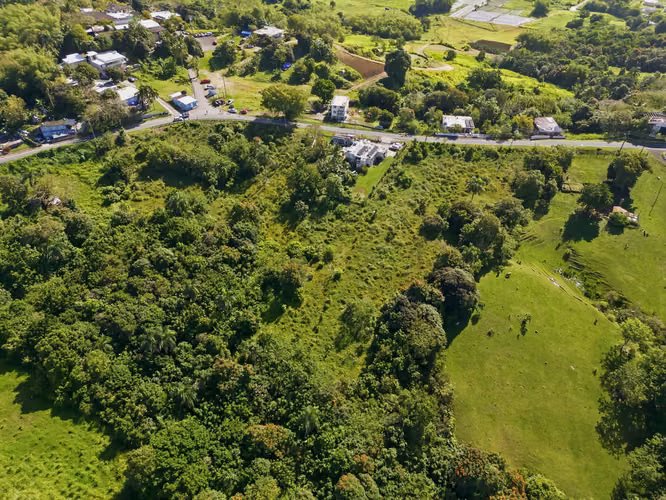 Bo. Ceiba, Terreno en Juncos
