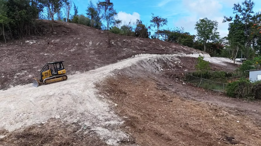 Bo. Factor, Terreno en Arecibo - Imagen 4
