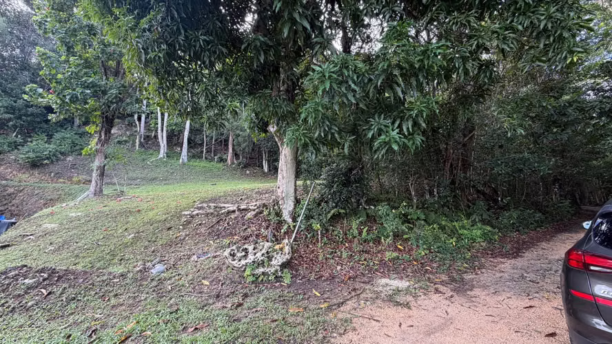 Bo. Pugnado, Terreno en Vega Baja - Imagen 2