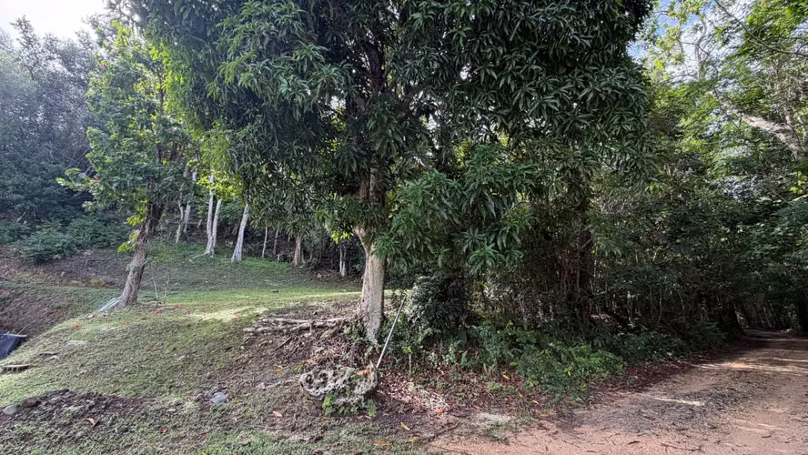 Bo. Pugnado, Terreno en Vega Baja - Imagen 4