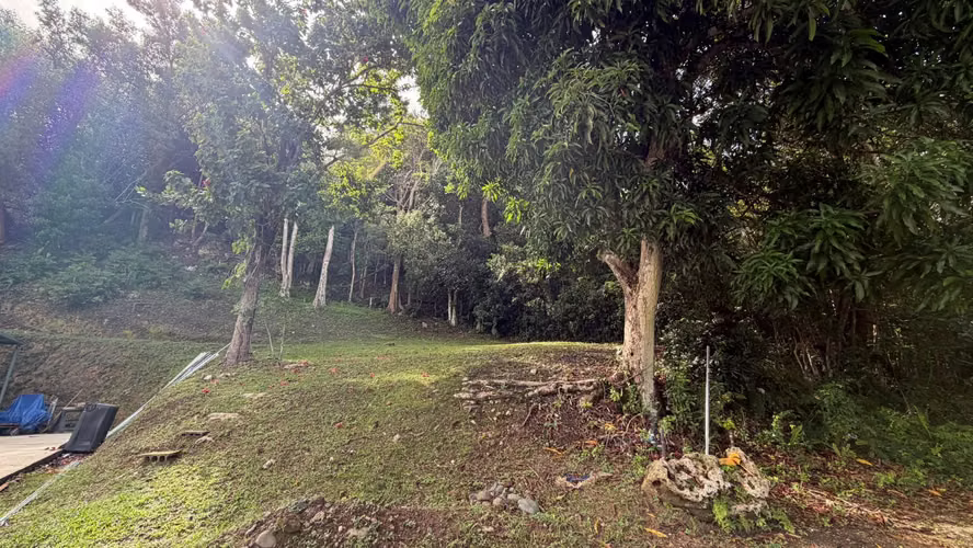 Bo. Pugnado, Terreno en Vega Baja - Imagen 3