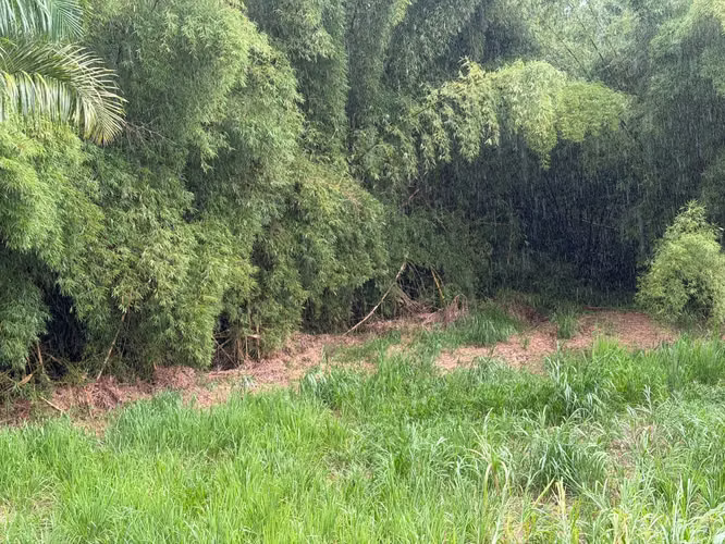Bo. Arenas, Terreno en Cidra - Imagen 10